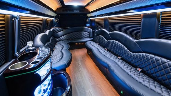 mckinney sprinter limousine interior