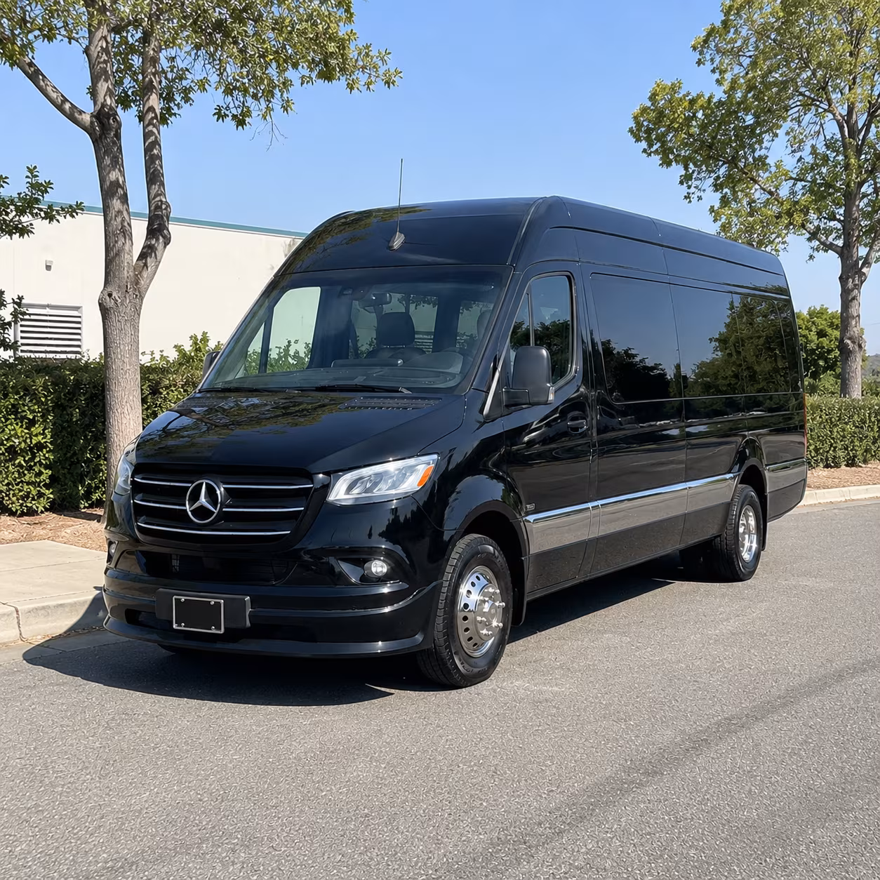 mckinney 8 passenger sprinter van