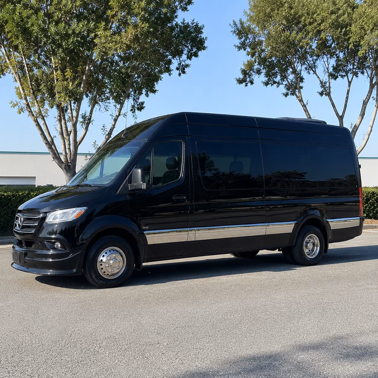 McKinney Birthday Transportation
